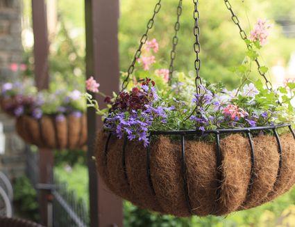 Plantera en blommande hängande korg - Gör ditt bästa hem