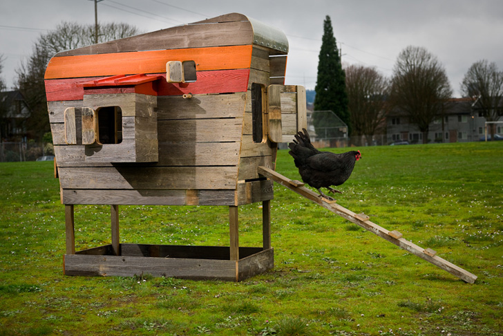 Designer John Wright's Modern Coop is a Stylish Hen House Made from