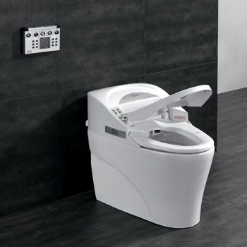 Costco: New Waves Smart Toilet | Home interior ideas | Smart toilet
