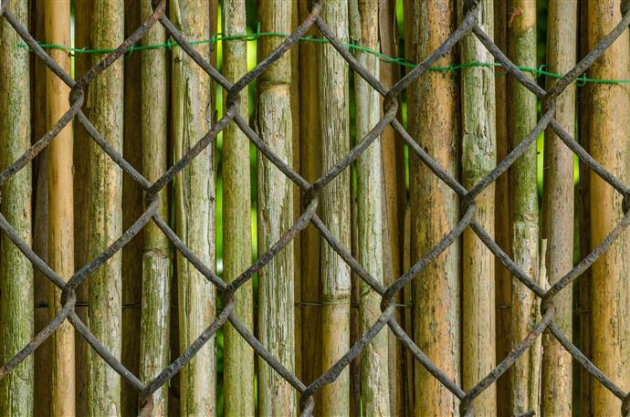 5 sätt att täcka upp ett kedjelänk staket - Gör ditt bästa hem