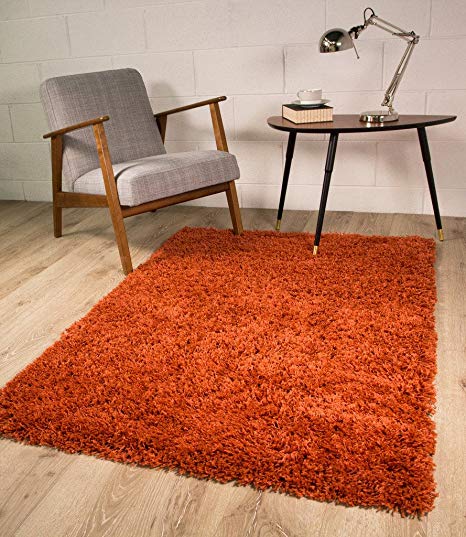 Luxury Burnt Orange Terracotta Shaggy Soft Pile Living Room Bedroom Shag  Area Rug Mat 2' x 3'7