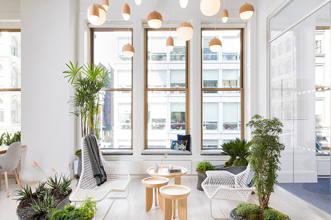 kontor dekor idéer växter