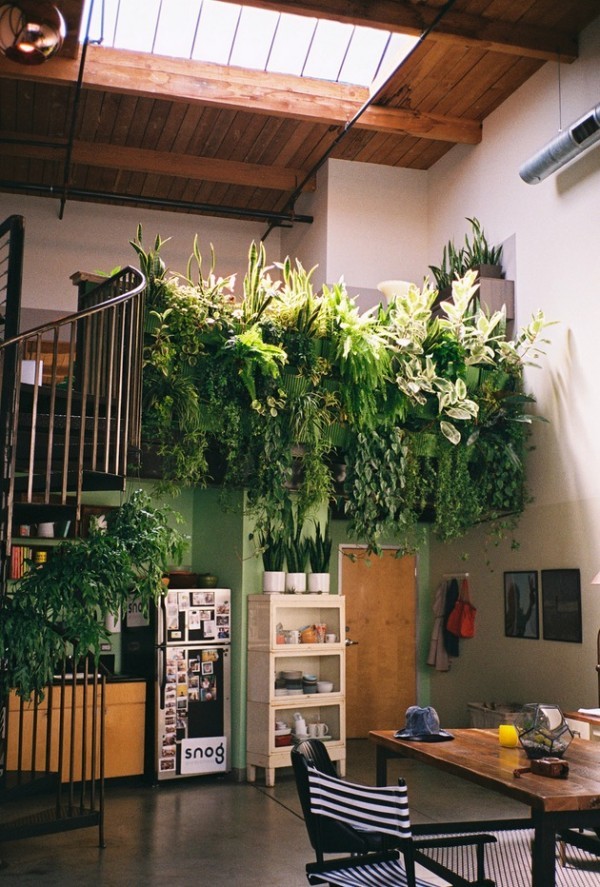 gröna växter på trappan